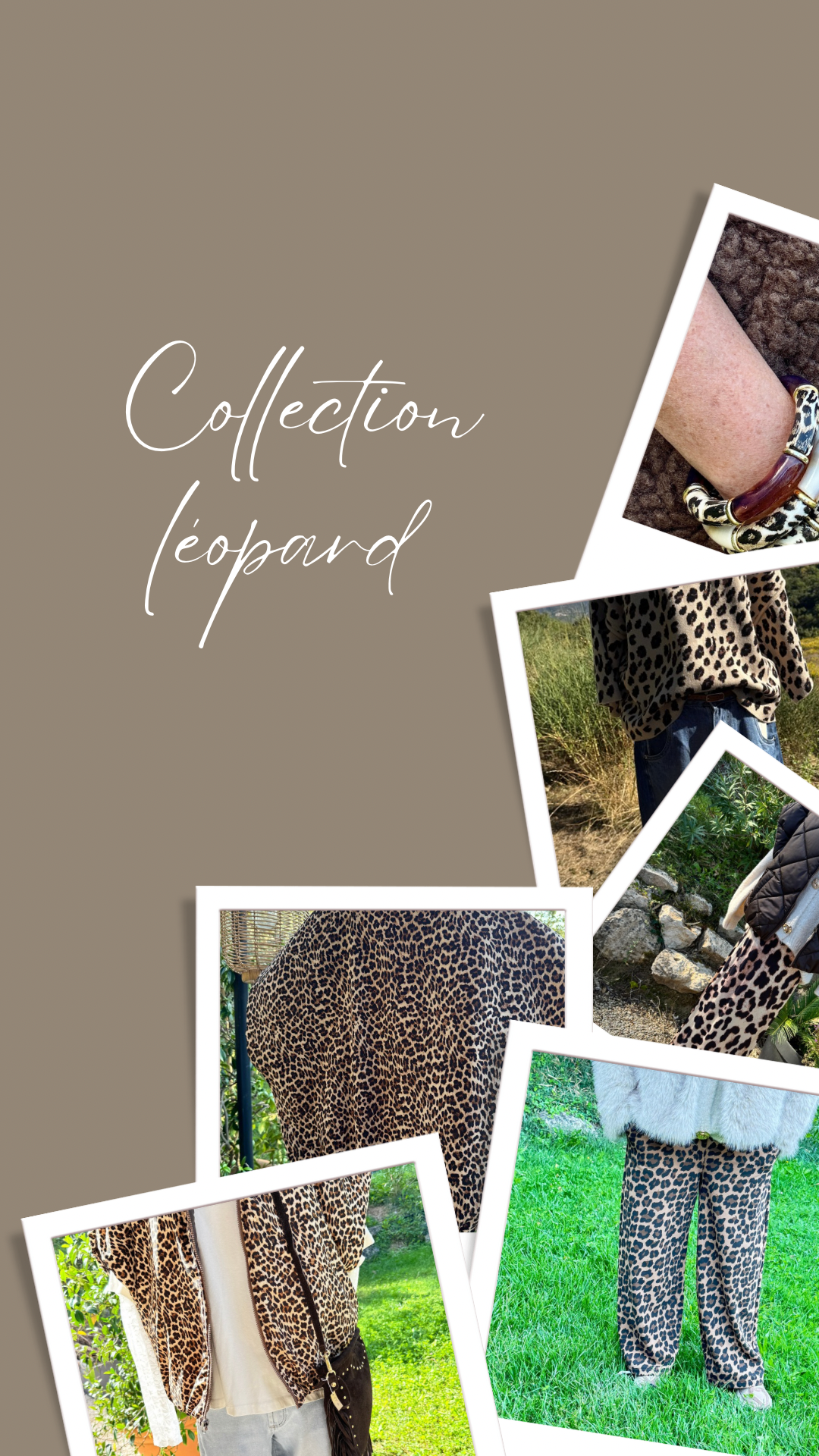 Collection Léopard